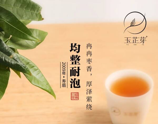 寿眉和白茶的区别，寿眉老白茶真的好吗？多少钱一斤呢？