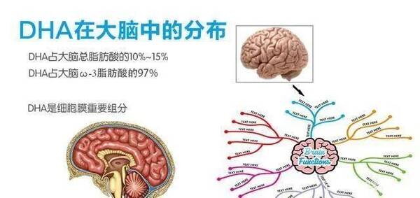 挪威鱼油dha咋样？，挪威销量靠前的鱼油！DHA含量1粒顶3粒，帮助宝宝脑部和视力发育
