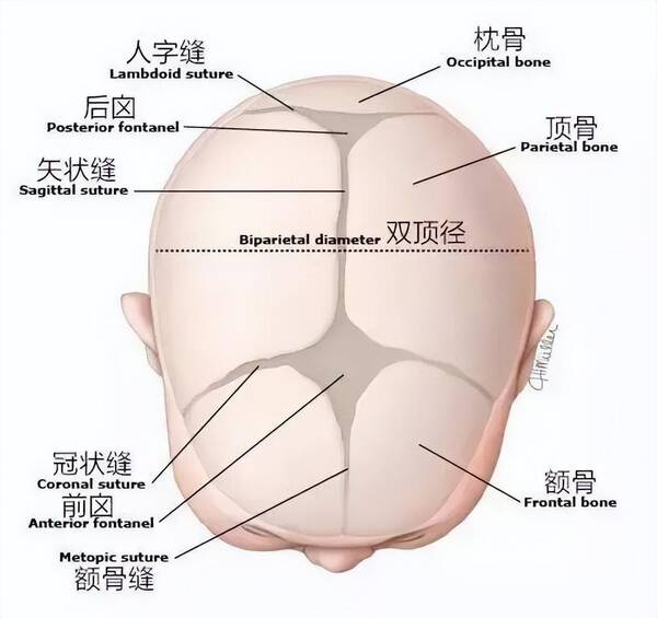 经常摸宝宝囟门有事吗?经常摸孩子的囟门有影响吗?