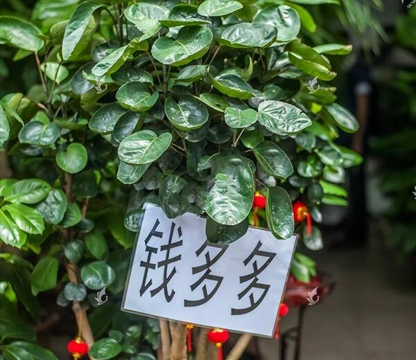 香港教育大学国内认可度，香港教育学院相当于内地什么大学？