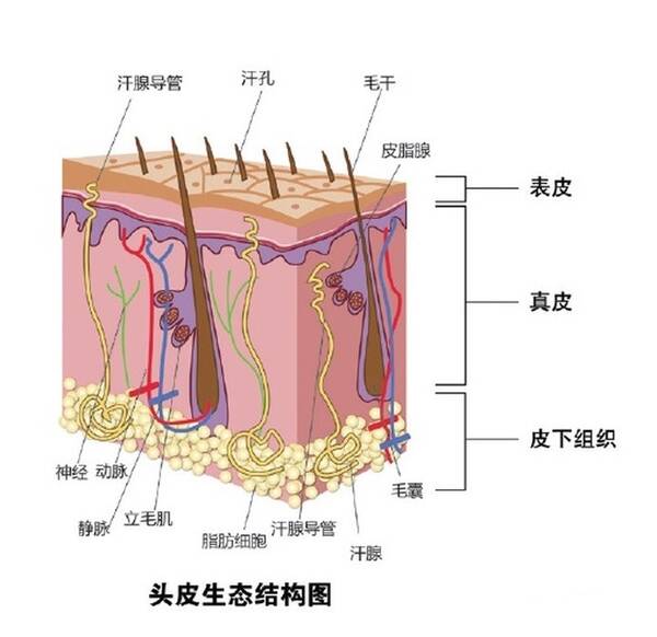 去屑洗发水康王，北京协和医院去屑洗发水怎么样？