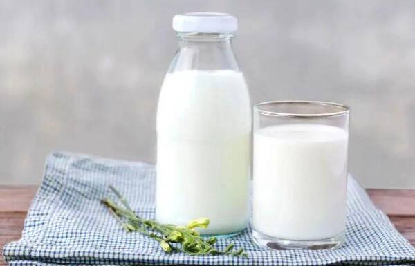 牛奶品牌怎么选？牛奶商标应该怎么挑选？这几招教你如何选择好商标