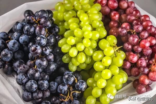 葡萄和提子是一种水果吗？俗称提子是什么葡萄？