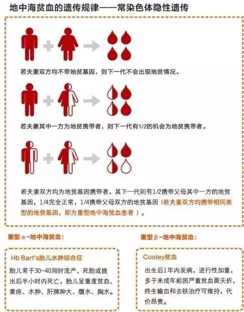 地中海贫血人长相图片，贫血是地中海贫血的一种吗？