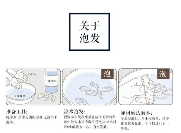 海参怎么泡发好？海参怎么泡发海参怎么吃？