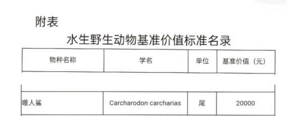 网红吃大白鲨事件即评，网红吃播的濒危大白鲨,来源查清了吗？