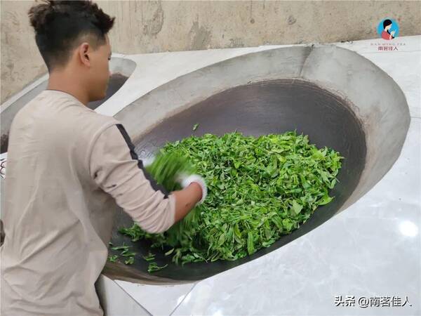 什么普洱茶较好？普洱茶价格为什么那么高？