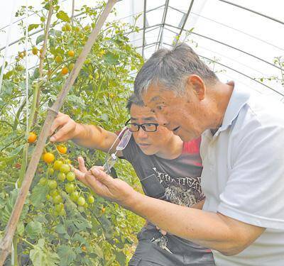 生态农场的优势和劣势，一家生态农场的绿色发展探索是什么？