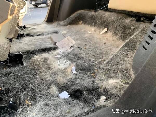 有经验的洗车师傅都会告诉图，今天你洗车了吗？38张前后对比照片展示洗车的效果
