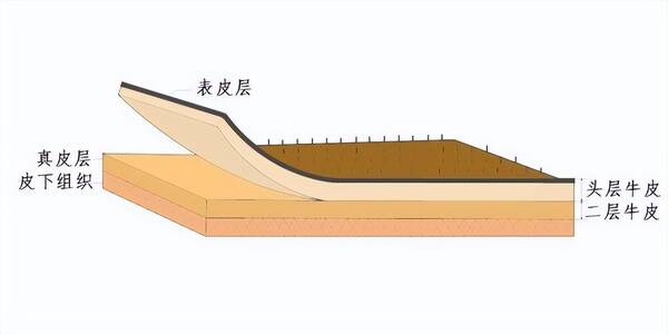 沙发西皮是什么皮？真皮沙发中的头层,二层,青皮都是什么意思？