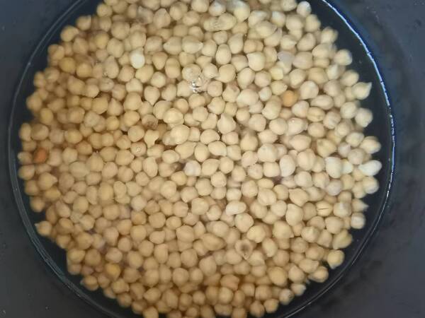 鹰嘴豆熬粥的做法，鹰嘴豆如何做得软烂好吃窍门？