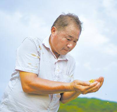 生态农场的优势和劣势，一家生态农场的绿色发展探索是什么？